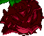 castlevania bloodlines enemy stone rose