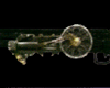 dirge of cerberus accessory 